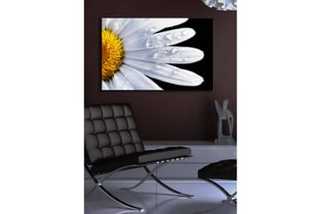 Canvastavla med LED-belysning 45x70 cm - Närbild av en prästkrage med droppar av vatten på bladen - Vit / Gul - Inredning - Tavlor & posters - Canvastavla