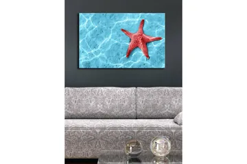 Canvastavla med LED-belysning 45x70 cm - Röd sjöstjärna på en klarblå vattenyta - Röd / Klarblå - Inredning - Tavlor & posters - Canvastavla
