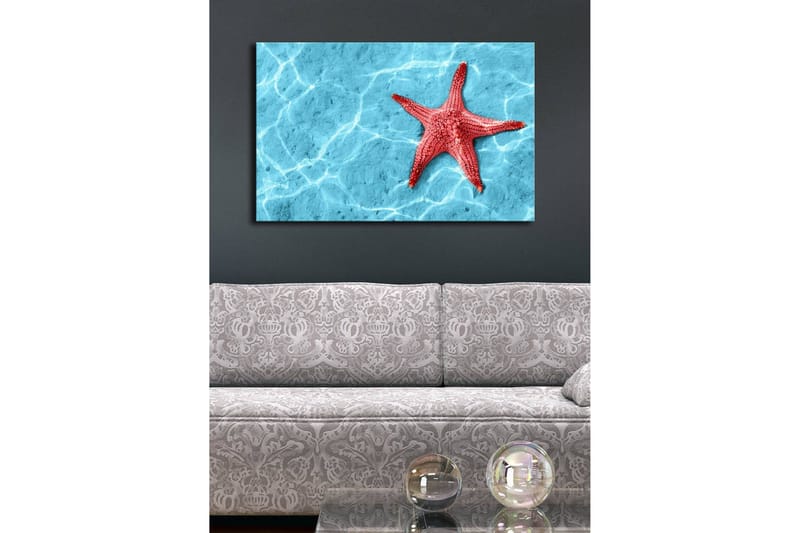 Canvastavla med LED-belysning 45x70 cm - Röd sjöstjärna på en klarblå vattenyta - Röd / Klarblå - Inredning - Tavlor & posters - Canvastavla
