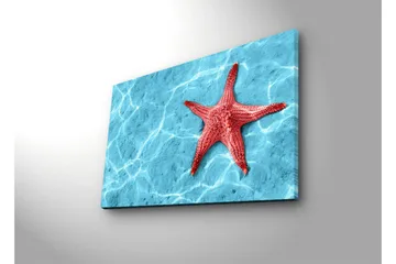 Canvastavla med LED-belysning 45x70 cm - Röd sjöstjärna på en klarblå vattenyta - Röd / Klarblå - Inredning - Tavlor & posters - Canvastavla