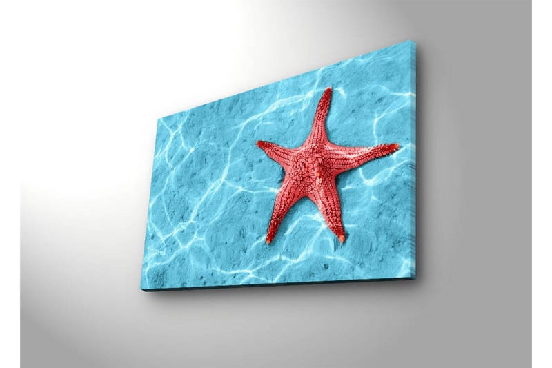Canvastavla med LED-belysning 45x70 cm - Röd sjöstjärna på en klarblå vattenyta - Röd / Klarblå - Inredning - Tavlor & posters - Canvastavla