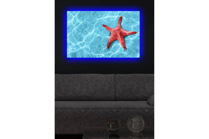 Canvastavla med LED-belysning 45x70 cm - Röd sjöstjärna på en klarblå vattenyta - Röd / Klarblå - Inredning - Tavlor & posters - Canvastavla