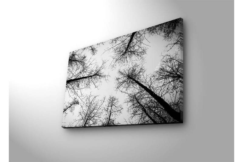 Canvastavla med LED-belysning 45x70 cm - Silhuetter av träd mot en ljus bakgrund - Svart / Vitt - Inredning - Tavlor & posters - Canvastavla