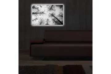 Canvastavla med LED-belysning 45x70 cm - Silhuetter av träd mot en ljus bakgrund - Svart / Vitt - Inredning - Tavlor & posters - Canvastavla