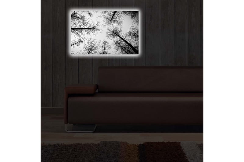 Canvastavla med LED-belysning 45x70 cm - Silhuetter av träd mot en ljus bakgrund - Svart / Vitt - Inredning - Tavlor & posters - Canvastavla