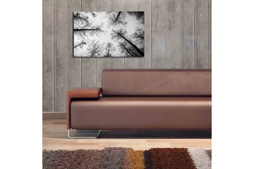 Canvastavla med LED-belysning 45x70 cm - Silhuetter av träd mot en ljus bakgrund - Svart / Vitt - Inredning - Tavlor & posters - Canvastavla
