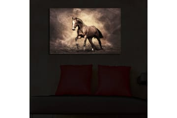 Canvastavla med LED-belysning 45x70 cm - Stolt häst i rörelse - Mörkbrun / Beige / Svart - Inredning - Tavlor & posters - Canvastavla
