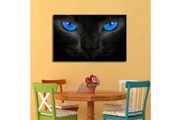 Canvastavla med LED-belysning 45x70 cm - Svart katt med intensiva blå ögon - Svart / Blå - Inredning - Tavlor & posters - Canvastavla