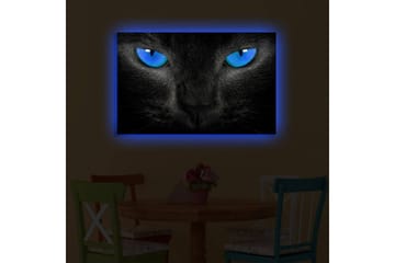 Canvastavla med LED-belysning 45x70 cm - Svart katt med intensiva blå ögon - Svart / Blå - Inredning - Tavlor & posters - Canvastavla