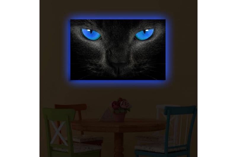 Canvastavla med LED-belysning 45x70 cm - Svart katt med intensiva blå ögon - Svart / Blå - Inredning - Tavlor & posters - Canvastavla