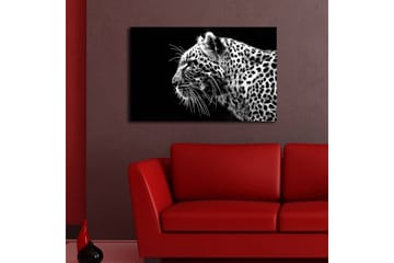 Canvastavla med LED-belysning 45x70 cm - Svartvit leopardprofil med detaljerad pälsstruktur - Svart / Vit - Inredning - Tavlor & posters - Canvastavla
