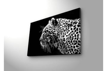 Canvastavla med LED-belysning 45x70 cm - Svartvit leopardprofil med detaljerad pälsstruktur - Svart / Vit - Inredning - Tavlor & posters - Canvastavla