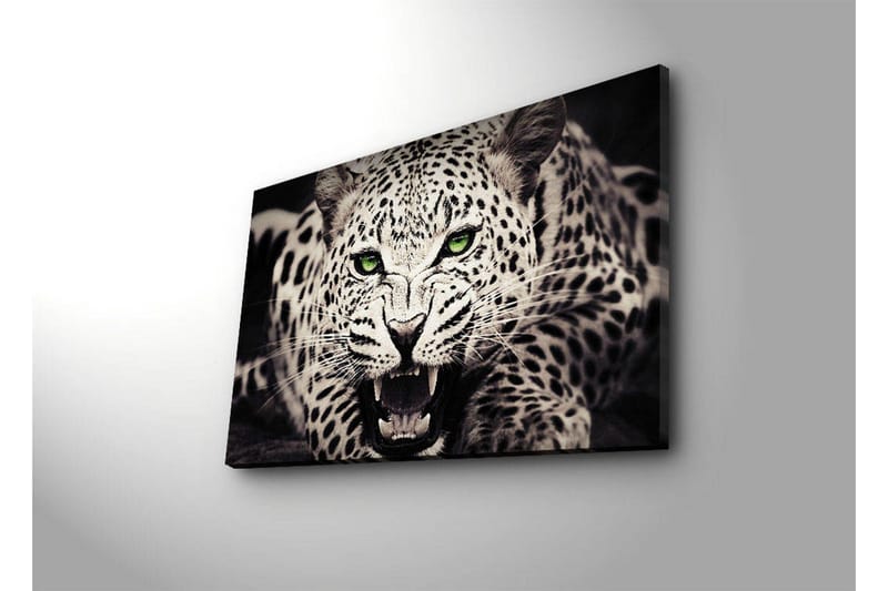 Canvastavla med LED-belysning 45x70 cm - Vild leopard med intensiv blick och öppet gap - Vit / Svart / Grön - Inredning - Tavlor & posters - Canvastavla