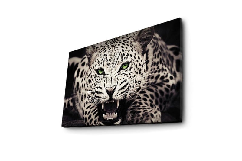 Canvastavla med LED-belysning 45x70 cm - Vild leopard med intensiv blick och öppet gap - Vit / Svart / Grön - Inredning - Tavlor & posters - Canvastavla