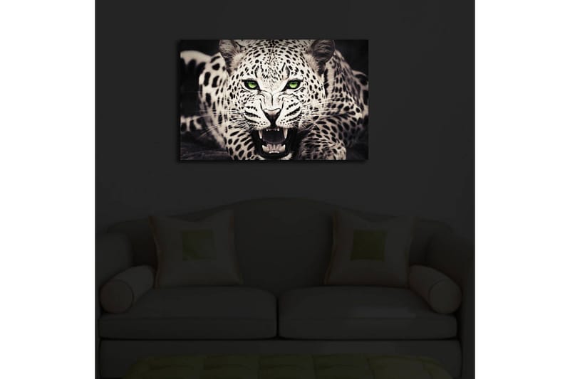 Canvastavla med LED-belysning 45x70 cm - Vild leopard med intensiv blick och öppet gap - Vit / Svart / Grön - Inredning - Tavlor & posters - Canvastavla