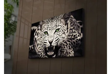 Canvastavla med LED-belysning 45x70 cm - Vild leopard med intensiv blick och öppet gap - Vit / Svart / Grön - Inredning - Tavlor & posters - Canvastavla