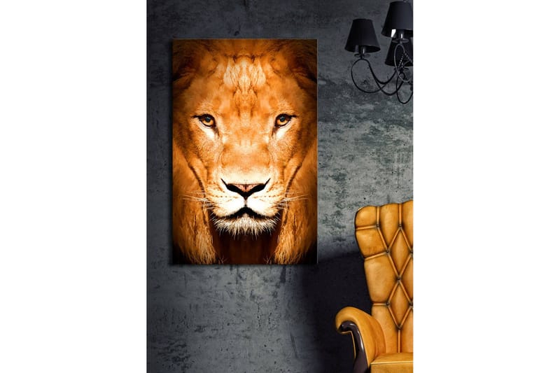 Canvastavla med LED-belysning 70x45 cm - Majestätisk lejonhuvud med intensiva ögon - Guld / Brun / Svart - Inredning - Tavlor & posters - Canvastavla