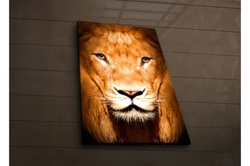 Canvastavla med LED-belysning 70x45 cm - Majestätisk lejonhuvud med intensiva ögon - Guld / Brun / Svart - Inredning - Tavlor & posters - Canvastavla