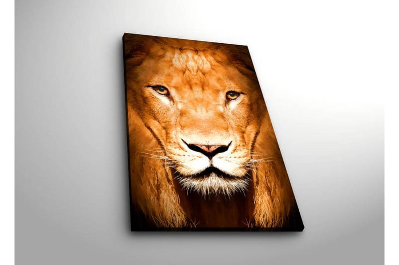 Canvastavla med LED-belysning 70x45 cm - Majestätisk lejonhuvud med intensiva ögon - Guld / Brun / Svart - Inredning - Tavlor & posters - Canvastavla