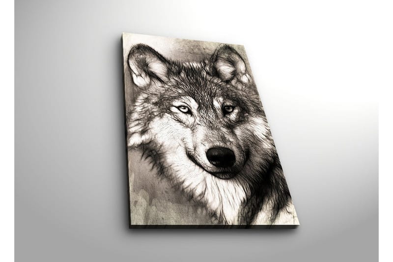 Canvastavla med LED-belysning 70x45 cm - Porträtt av en varg med uttrycksfulla detaljer - Svart / Grå / Vit - Inredning - Tavlor & posters - Canvastavla