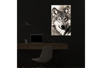 Canvastavla med LED-belysning 70x45 cm - Porträtt av en varg med uttrycksfulla detaljer - Svart / Grå / Vit - Inredning - Tavlor & posters - Canvastavla