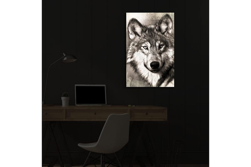 Canvastavla med LED-belysning 70x45 cm - Porträtt av en varg med uttrycksfulla detaljer - Svart / Grå / Vit - Inredning - Tavlor & posters - Canvastavla