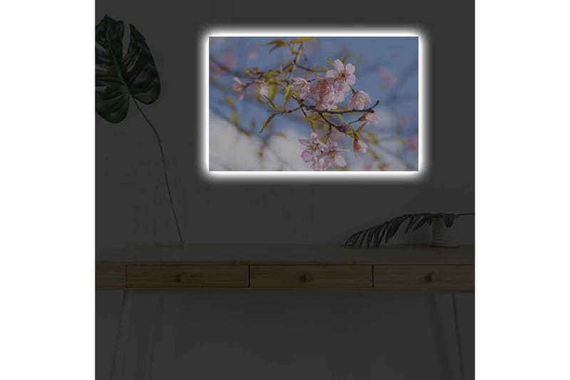 Canvastavla med LED-belysning - Blommande körsbärsträd i vårens ljus - Rosa / Grön / Blå - Inredning - Tavlor & posters - Canvastavla