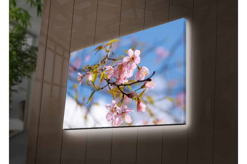 Canvastavla med LED-belysning - Blommande körsbärsträd i vårens ljus - Rosa / Grön / Blå - Inredning - Tavlor & posters - Canvastavla