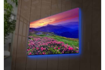 Canvastavla med LED-belysning - Blomstrande äng med färgglada blommor och fjäll i bakgrunden - Lila / Rosa / Grön - Inredning - Tavlor & posters - Canvastavla
