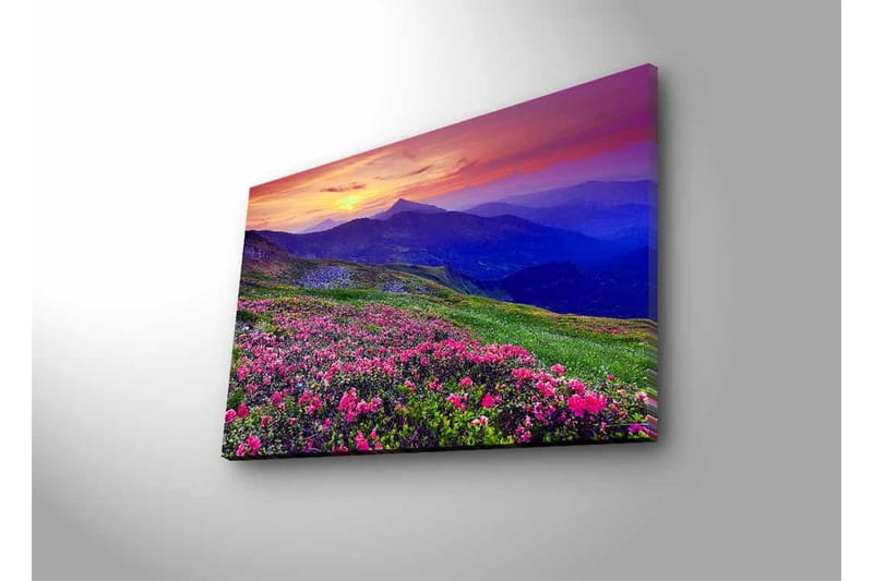 Canvastavla med LED-belysning - Blomstrande äng med färgglada blommor och fjäll i bakgrunden - Lila / Rosa / Grön - Inredning - Tavlor & posters - Canvastavla
