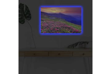 Canvastavla med LED-belysning - Blomstrande äng med färgglada blommor och fjäll i bakgrunden - Lila / Rosa / Grön - Inredning - Tavlor & posters - Canvastavla