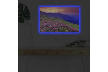 Canvastavla med LED-belysning - Blomstrande äng med färgglada blommor och fjäll i bakgrunden - Lila / Rosa / Grön - Inredning - Tavlor & posters - Canvastavla