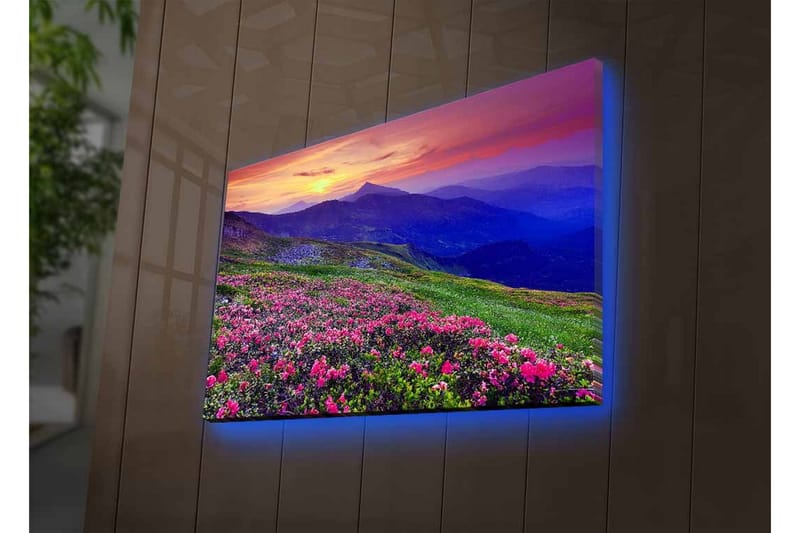 Canvastavla med LED-belysning - Blomstrande äng med färgglada blommor och fjäll i bakgrunden - Lila / Rosa / Grön - Inredning - Tavlor & posters - Canvastavla