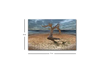 Canvastavla med LED-belysning - Dött träd på en sprucken jordyta vid havet - Brun / Grå / Blå - Inredning - Tavlor & posters - Canvastavla