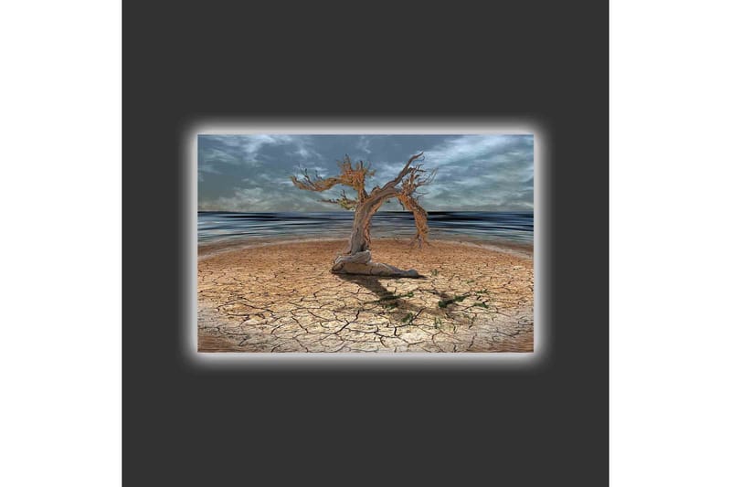 Canvastavla med LED-belysning - Dött träd på en sprucken jordyta vid havet - Brun / Grå / Blå - Inredning - Tavlor & posters - Canvastavla