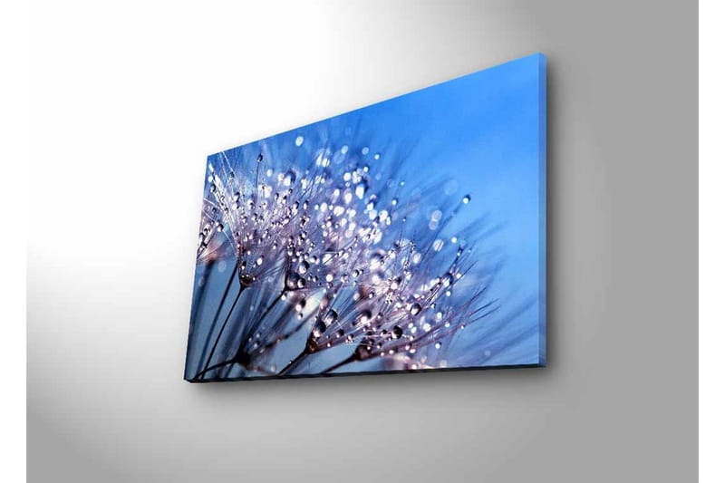 Canvastavla med LED-belysning - Delikat blomsterkomposition med vattendroppar - Blå / Vit / Lila - Inredning - Tavlor & posters - Canvastavla