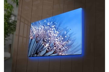 Canvastavla med LED-belysning - Delikat blomsterkomposition med vattendroppar - Blå / Vit / Lila - Inredning - Tavlor & posters - Canvastavla