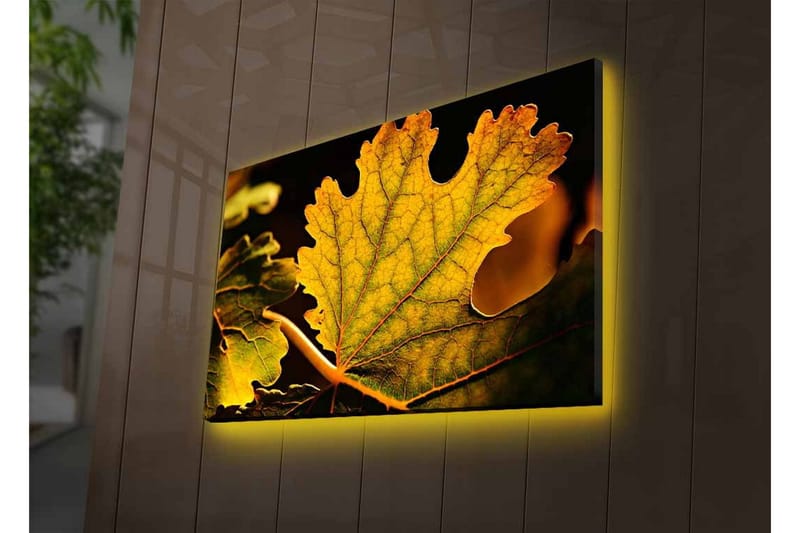 Canvastavla med LED-belysning - Detaljerad komposition av gröna och gyllene löv - Grön / Gyllene - Inredning - Tavlor & posters - Canvastavla