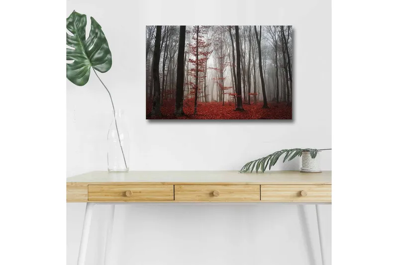 Canvastavla med LED-belysning - Dimmig skog med röda löv och höga träd, Röd / Grå / Svart