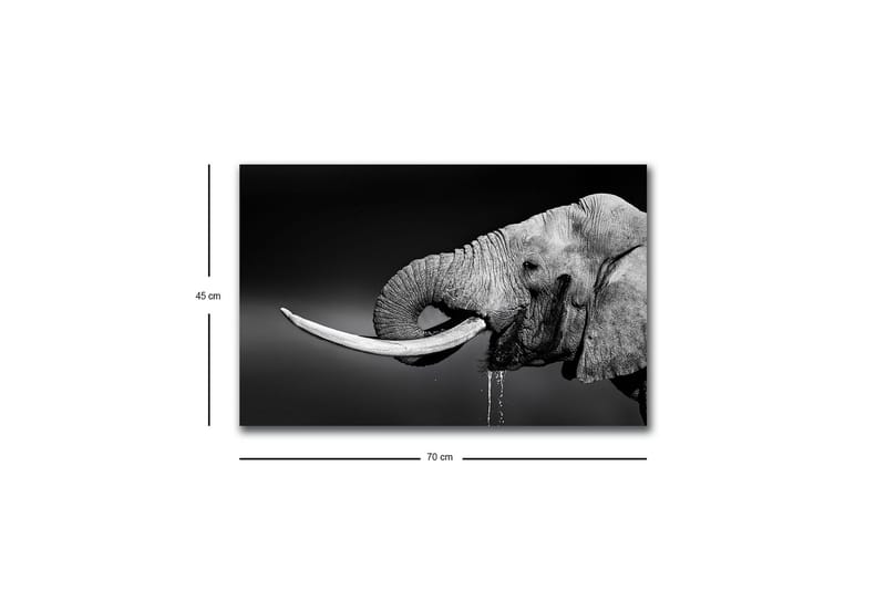 Canvastavla med LED-belysning - Elefant i svartvitt med detaljerad textur - Svart / Vit / Grå - Inredning - Tavlor & posters - Canvastavla