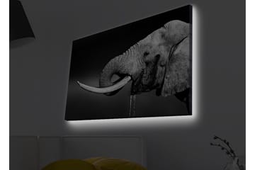 Canvastavla med LED-belysning - Elefant i svartvitt med detaljerad textur - Svart / Vit / Grå - Inredning - Tavlor & posters - Canvastavla