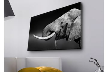 Canvastavla med LED-belysning - Elefant i svartvitt med detaljerad textur - Svart / Vit / Grå - Inredning - Tavlor & posters - Canvastavla