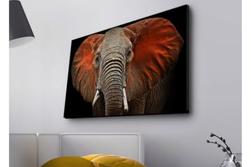 Canvastavla med LED-belysning - Elefant med majestätiska öron i dämpade färger - Grå / Röd / Svart - Inredning - Tavlor & posters - Canvastavla