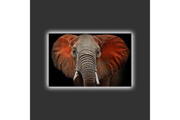 Canvastavla med LED-belysning - Elefant med majestätiska öron i dämpade färger - Grå / Röd / Svart - Inredning - Tavlor & posters - Canvastavla