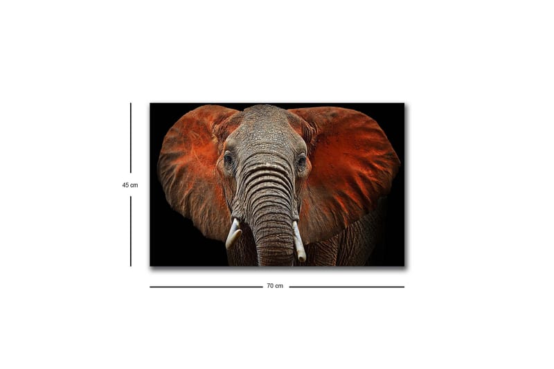 Canvastavla med LED-belysning - Elefant med majestätiska öron i dämpade färger - Grå / Röd / Svart - Inredning - Tavlor & posters - Canvastavla