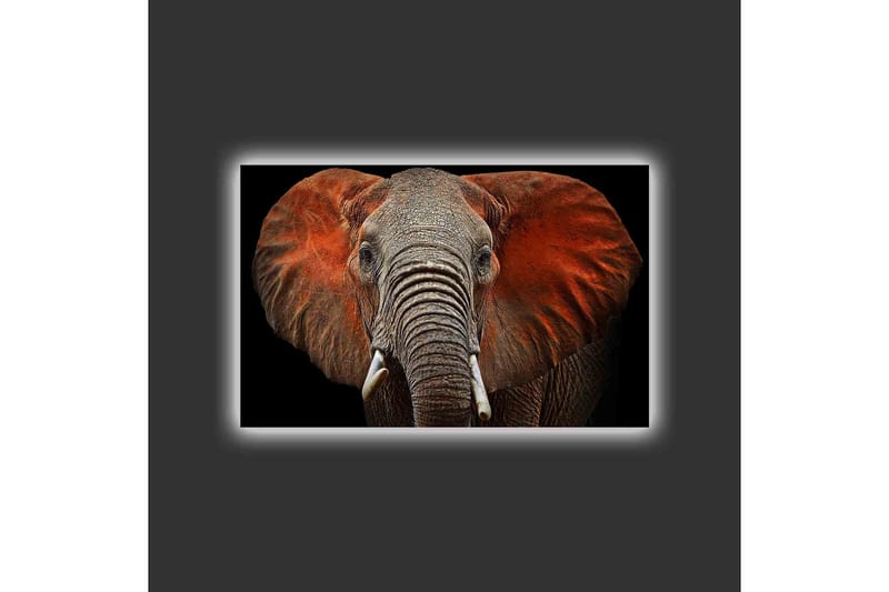 Canvastavla med LED-belysning - Elefant med majestätiska öron i dämpade färger - Grå / Röd / Svart - Inredning - Tavlor & posters - Canvastavla