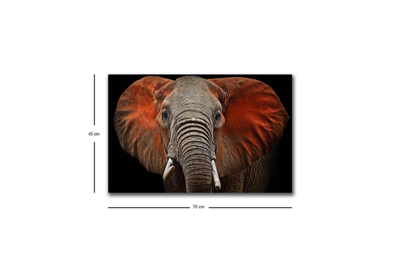 Canvastavla med LED-belysning - Elefant med majestätiska öron i dämpade färger - Grå / Röd / Svart - Inredning - Tavlor & posters - Canvastavla