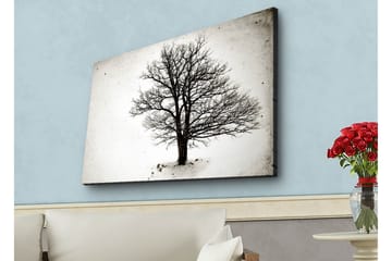 Canvastavla med LED-belysning - Ensam, bar trädkrona mot en vit bakgrund - Svart / Vit - Inredning - Tavlor & posters - Canvastavla