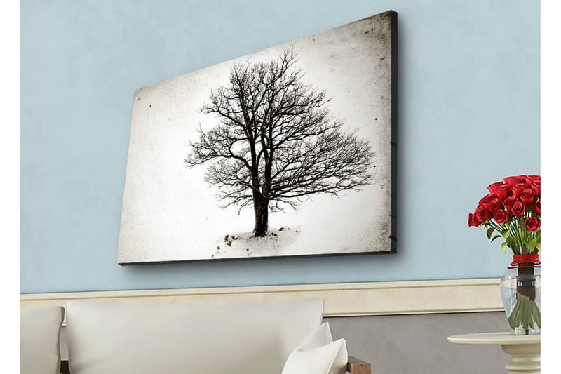 Canvastavla med LED-belysning - Ensam, bar trädkrona mot en vit bakgrund - Svart / Vit - Inredning - Tavlor & posters - Canvastavla