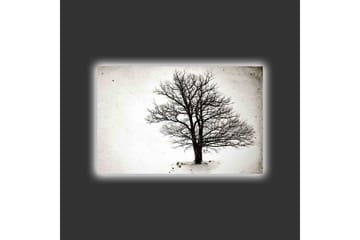 Canvastavla med LED-belysning - Ensam, bar trädkrona mot en vit bakgrund - Svart / Vit - Inredning - Tavlor & posters - Canvastavla